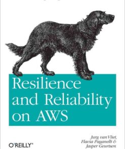 Resilience and Reliability on AWS: Engineering at Cloud Scale, 1st Edition eBook
