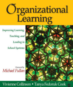 Organizational Learning: Improving Learning, Teaching, and Leading in School Systems, 1st Edition eBook