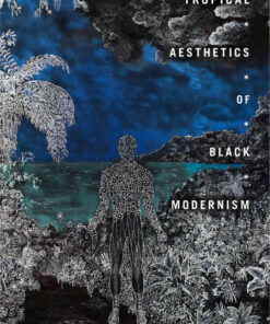 Tropical Aesthetics of Black Modernism eBook