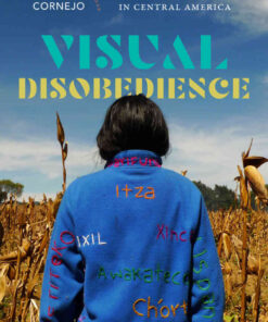 Visual Disobedience: Art and Decoloniality in Central America eBook