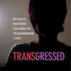 Transgressed: Intimate Partner Violence in Transgender Lives eBook