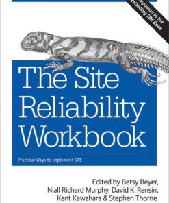 The Site Reliability Workbook: Practical Ways to Implement SRE, 1st Edition eBook