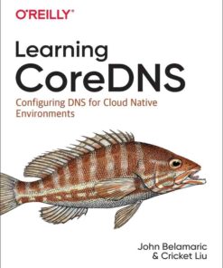 Learning CoreDNS: Configuring DNS for Cloud Native Environments, 1st Edition eBook
