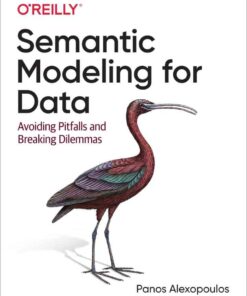 Semantic Modeling for Data, 1st Edition eBook