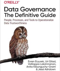 Data Governance: The Definitive Guide, 1st Edition eBook
