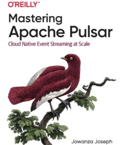Mastering Apache Pulsar: Cloud Native Event Streaming at Scale, 1st Edition eBook
