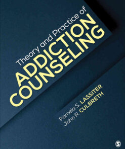 Theory and Practice of Addiction Counseling, 1st Edition eBook