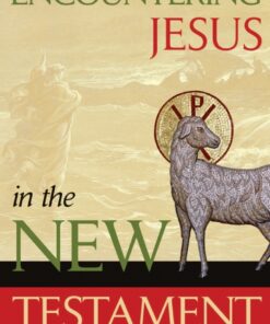 Encountering Jesus in the New Testament, 3rd Edition eBook