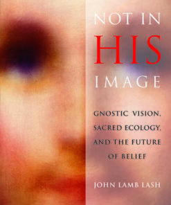 Not in His Image: Gnostic Vision, Sacred Ecology, and the Future of Belief eBook