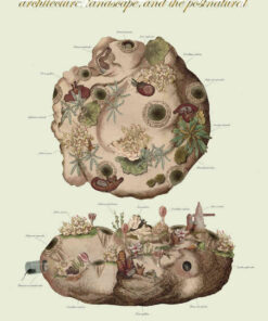 Ambiguous Territory: Architecture, Landscape and the Postnatural eBook