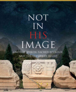 Not in His Image (15th Anniversary Edition): Gnostic Vision, Sacred Ecology, and the Future of Belief eBook