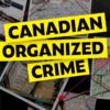 Canadian Organized Crime, 2nd Edition eBook