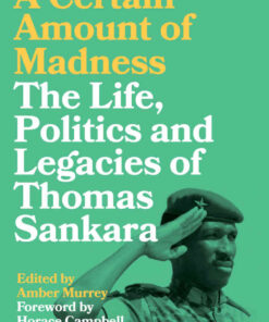 A Certain Amount of Madness: The Life, Politics and Legacies of Thomas Sankara, 1st Edition eBook