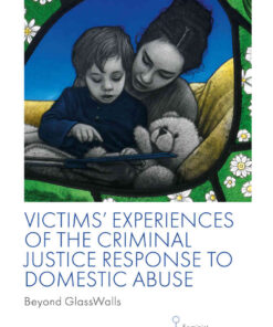 Victims' Experiences of The Criminal Justice Response to Domestic Abuse: Beyond GlassWalls eBook