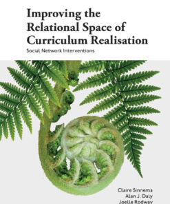 Improving the Relational Space of Curriculum Realisation: Social Network Interventions eBook