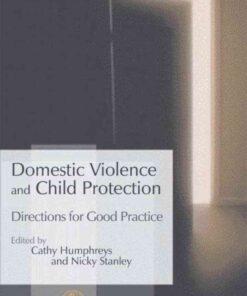 Domestic Violence and Child Protection: Directions for Good Practice eBook