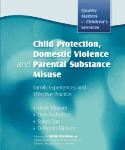 Child Protection, Domestic Violence and Parental Substance Misuse: Family Experiences and Effective Practice eBook