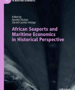 African Seaports and Maritime Economics in Historical Perspective eBook