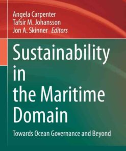 Sustainability in the Maritime Domain: Towards Ocean Governance and Beyond eBook