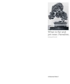 Borrowed Sceneries: The Influence of Japanese Garden Art on Swiss Landscape Architecture, 1st Edition eBook