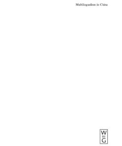 Multilingualism in China: The Politics of Writing Reforms for Minority Languages 1949-2002 eBook