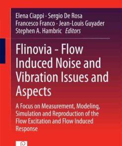 Flinovia - Flow Induced Noise and Vibration Issues and Aspects: A Focus on Measurement, Modeling, Simulation and Reproduction of the Flow Excitation and Flow Induced Response eBook