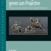 Effectief sturing geven aan Projecten, 1st Edition eBook
