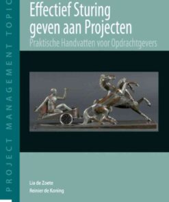 Effectief sturing geven aan Projecten, 1st Edition eBook
