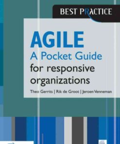 Agile for responsive organizations - A Pocket Guide, 1st Edition eBook