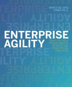 Enterprise Agility: Een effectieve transformatie op basis van principes en practices, 1st Edition eBook