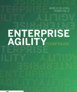 Enterprise Agility - Pocketguide, 1st Edition eBook