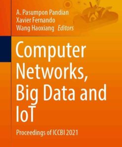 Computer Networks, Big Data and IoT: Proceedings of ICCBI 2021 eBook