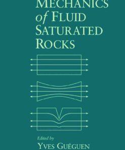 Mechanics of Fluid-Saturated Rocks eBook