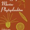 Identifying Marine Phytoplankton eBook