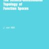 The Infinite-Dimensional Topology of Function Spaces eBook
