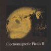Geophysical Field Theory and Method, Part C: Electromagnetic Fields II eBook