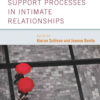 Support Processes in Intimate Relationships, 1st Edition eBook
