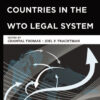 Developing Countries in the WTO Legal System, 1st Edition eBook