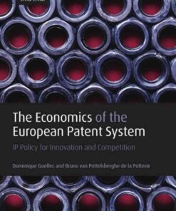 The Economics of the European Patent System: IP Policy for Innovation and Competition eBook