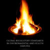 Global Regulatory Standards in Environmental and Health Disputes: Regulatory Coherence, Due Regard, and Due Diligence eBook