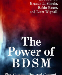 The Power of BDSM: Play, Communities, and Consent in the 21st Century eBook
