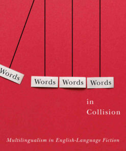 Words in Collision: Multilingualism in English-Language Fiction eBook