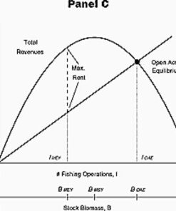 Sharing the Fish: Toward a National Policy on Individual Fishing Quotas eBook
