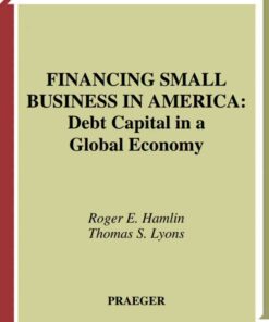 Financing Small Business in America: Debt Capital in a Global Economy, 1st Edition eBook