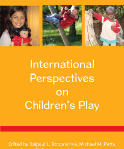 International Perspectives on Children's Play, 1st Edition eBook