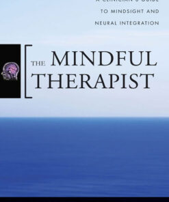The Mindful Therapist: A Clinician's Guide to Mindsight and Neural Integration eBook