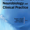 Interpersonal Neurobiology and Clinical Practice eBook