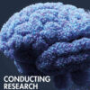 Conducting Research: Social and Behavioral Science Methods, 3rd Edition eBook