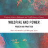 Wildfire and Power: Policy and Practice, 1st Edition eBook