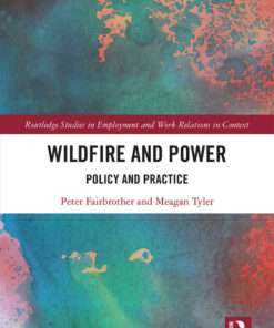 Wildfire and Power: Policy and Practice, 1st Edition eBook